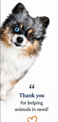 Mascot dog peeking with thank-you note
